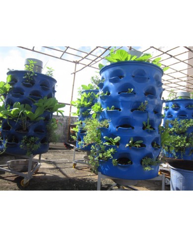 Thùng nhựa trồng rau sạch Thùng nhựa trồng rau sạch