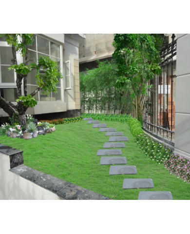 Thiết kế, trang trí tiểu cảnh sân vườn